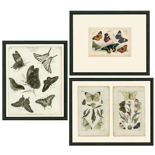 Smith & Co., Three Butterflies~P77480982