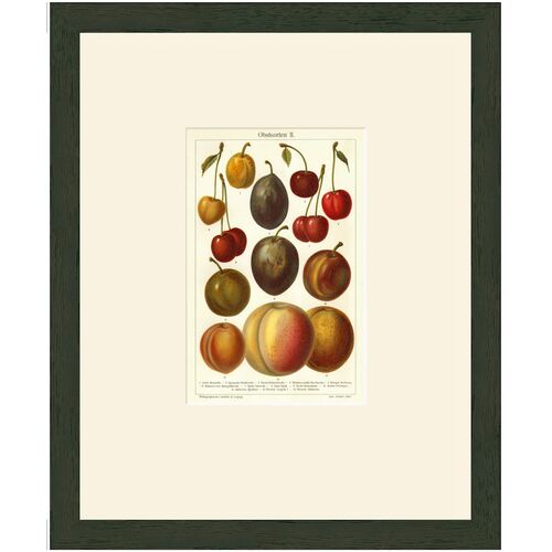 Stone Fruit - Obstsorten Art Print, 15.625" x 12.75" Stone Fruit - Obstsorten Art Print, 15.625" x 12.75"