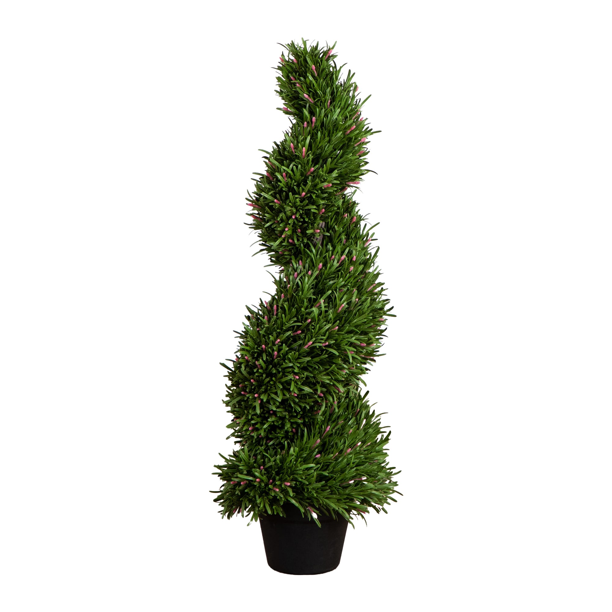 UV Resistant Rosemary Spiral Topiary Tree (Indoor/Outdoor)
