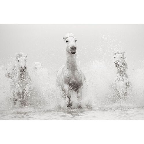 Drew Doggett, Luminary~P77322278