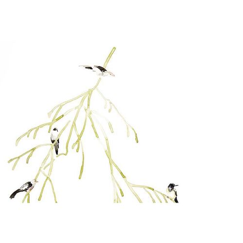 Mary H. Case Lg. Bird Branches Wallpaper, White~P77605180