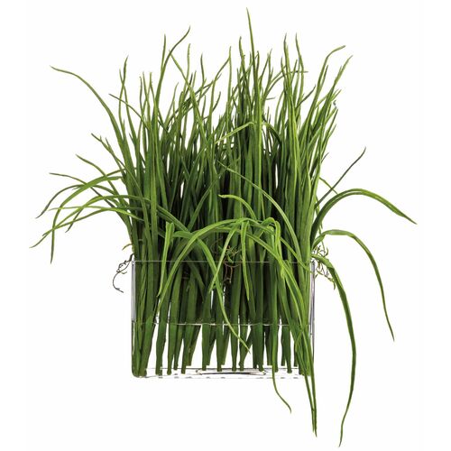 21" Grass in Glass Vase, Green