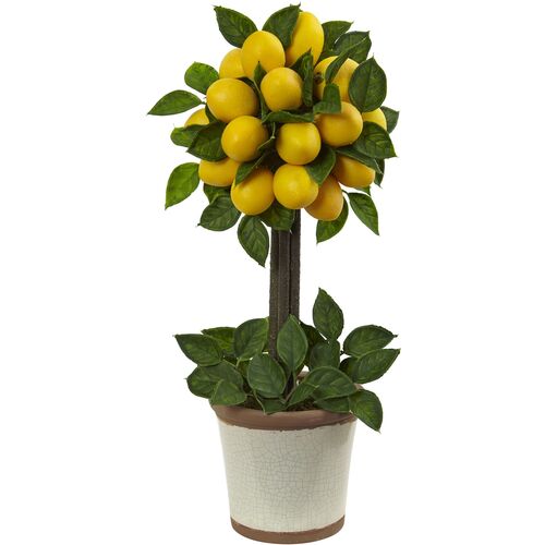 Lemon Ball Topiary Arrangement~P111113164