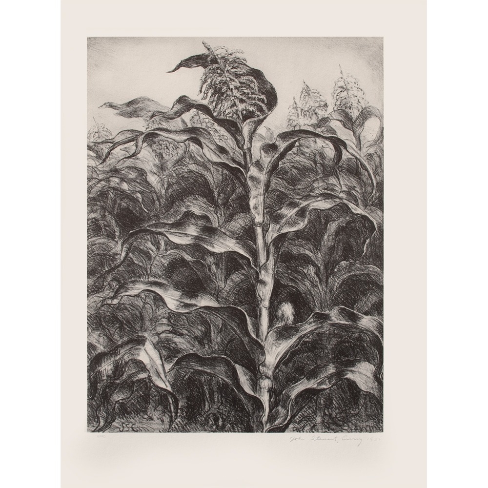 1939 John S. Curry, Corn~P77590644