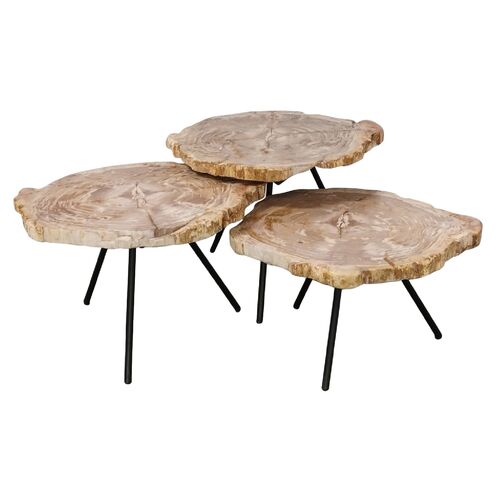 S/3 Larza Petrified Wood Nesting Coffee Tables