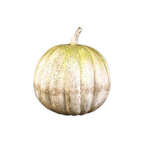 14" Pumpkin, White Moss~P75997606