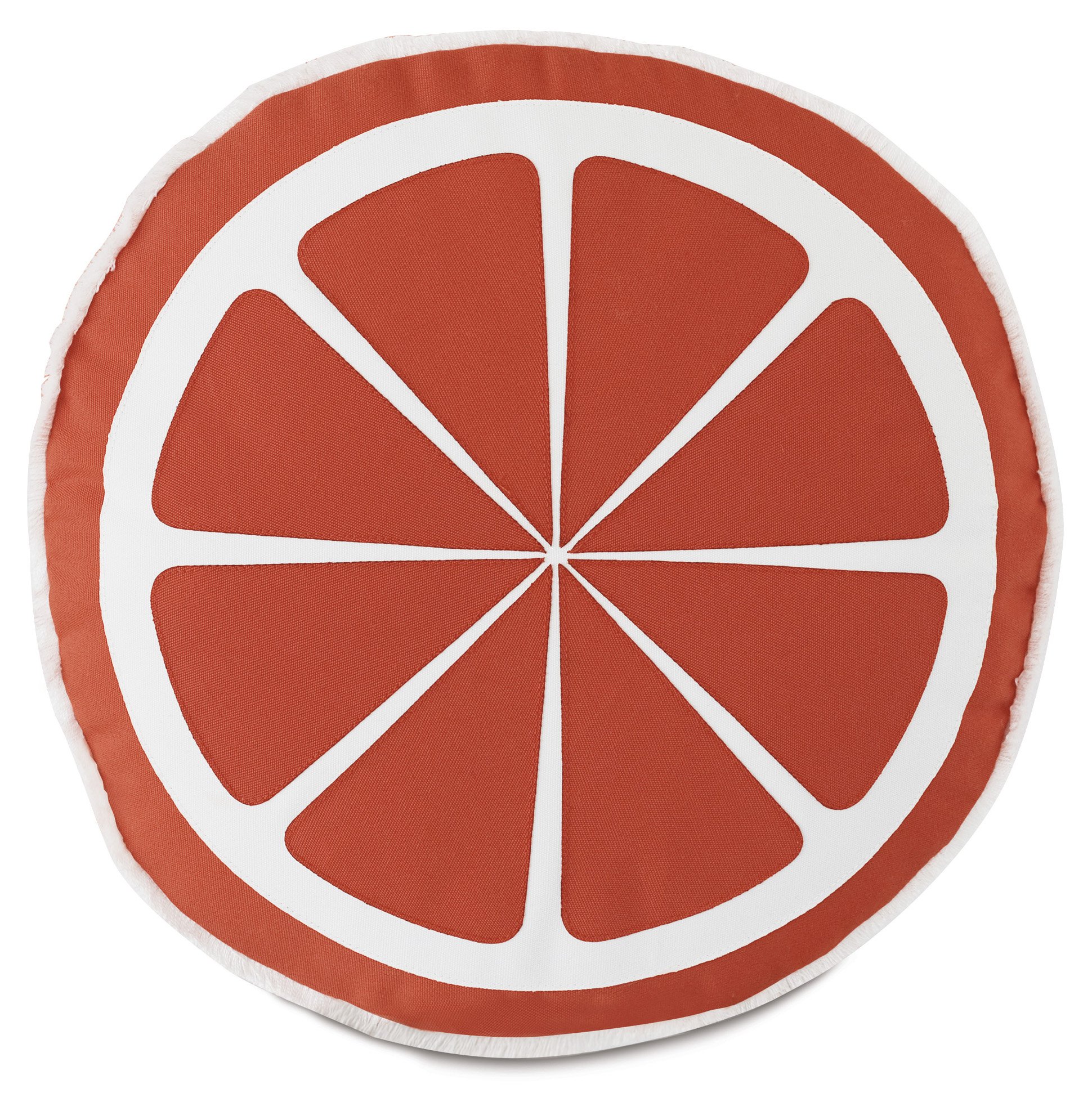 Citrus Outdoor Pillow One Kings Lane