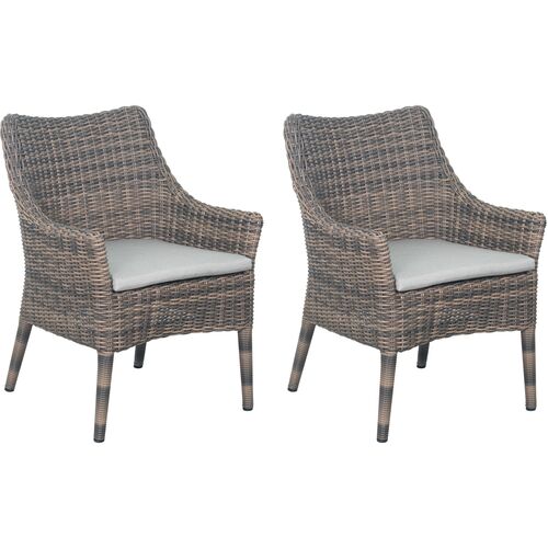 S/2 Prissy Outdoor Wicker Dining Chairs, Brown~P77650391