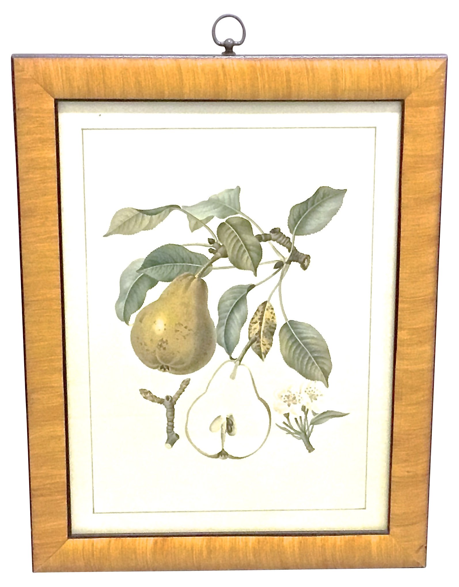 Pear & Branch Engraving~P77419268