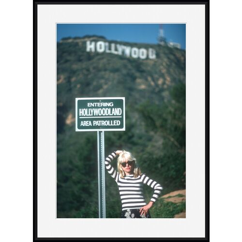 Blondie at the Hollywood Sign
