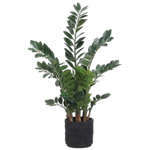48" Zamioculcas Plant, Faux~P77454125