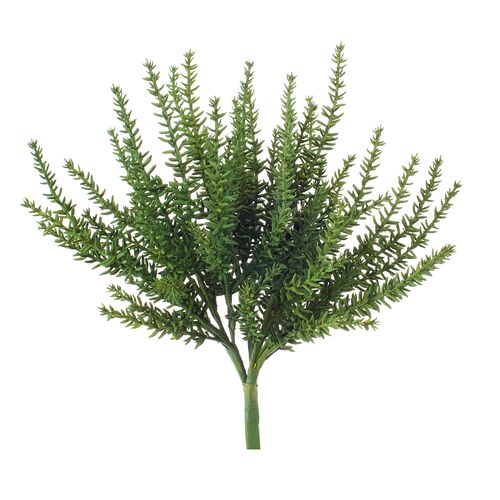 12" Sedum Bush, Set of 24