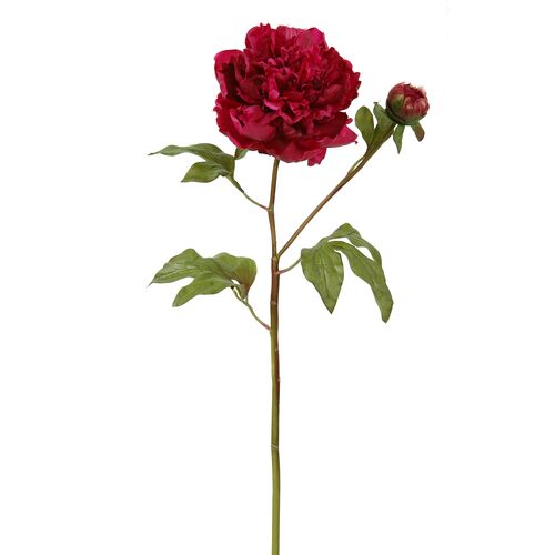 19.5" Open Peony with Bud Stem, Set of 12 19.5" Open Peony with Bud Stem, Set of 12