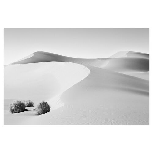 Drew Doggett, Sanctuary Drew Doggett, Sanctuary~P76848935