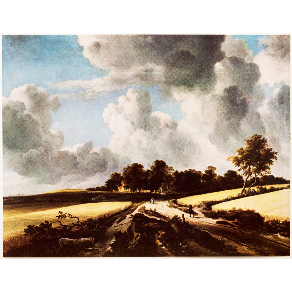1950s Jacob van Ruisdael, Wheat Fields~P77568430