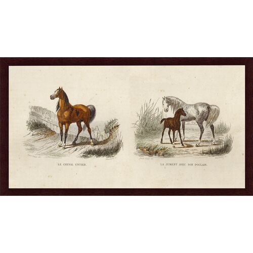 Horses, 1837 Art Print Set, 8.75" x 16" Horses, 1837 Art Print Set, 8.75" x 16"