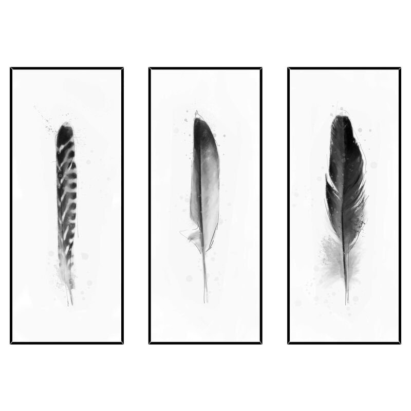 Black and White Feathers Triptych