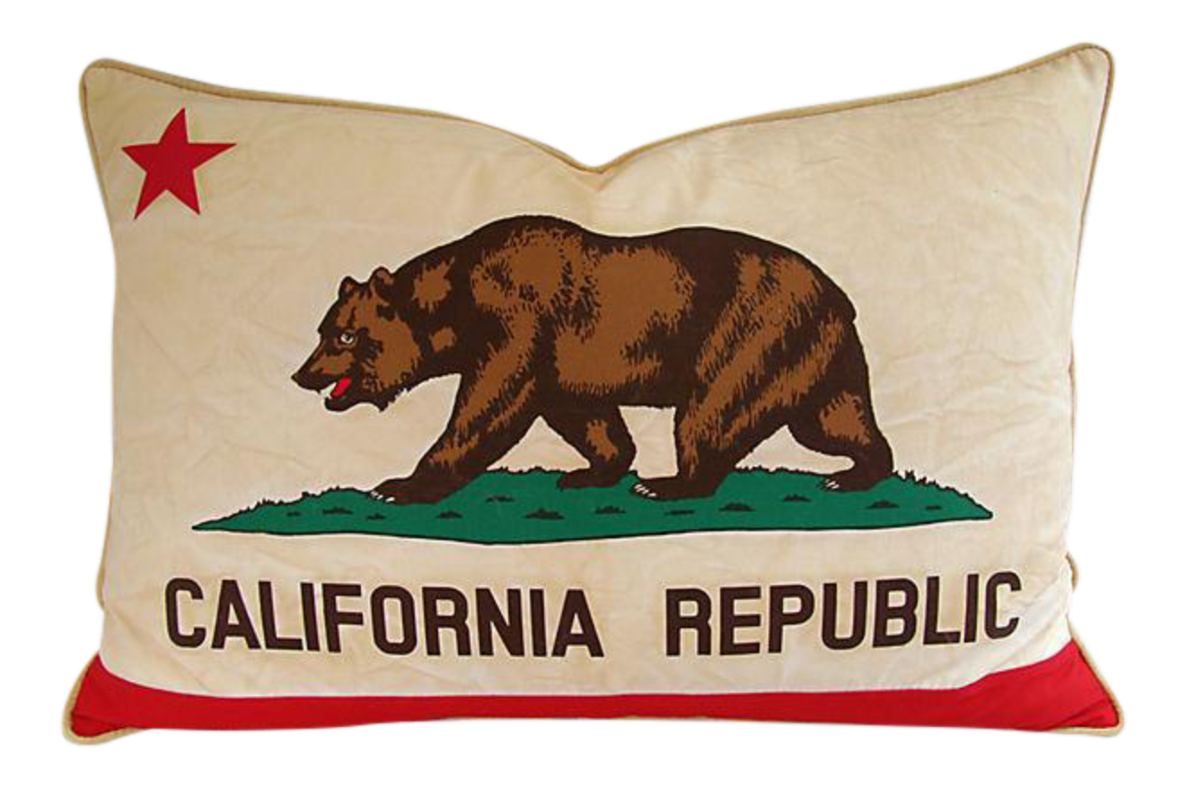Lg. California Republic Bear Flag Pillow~P77687546