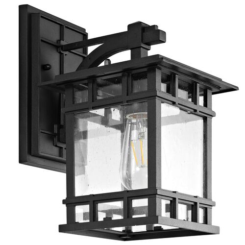 Neriel Outdoor Wall Lantern, Clear/Black