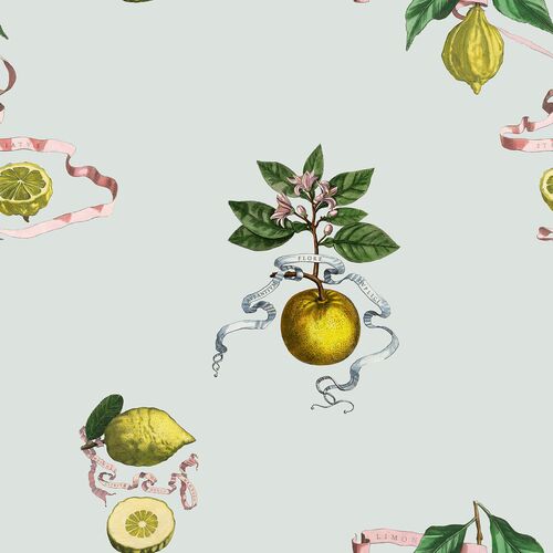 Lemon Toile Wallpaper, Blue