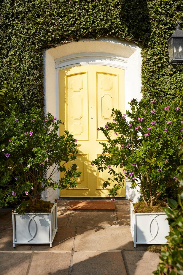 Shown above: our exclusive Frances planters in white.
