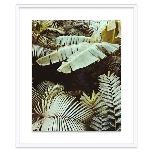 Christine Flynn, Palm Leaves~P77458023