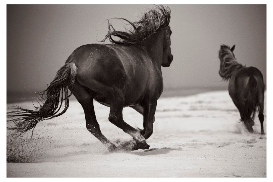 A study in moody blacks and gray, In Pursuit by Drew Doggett is an ideal focal point for a Western gothic room.
