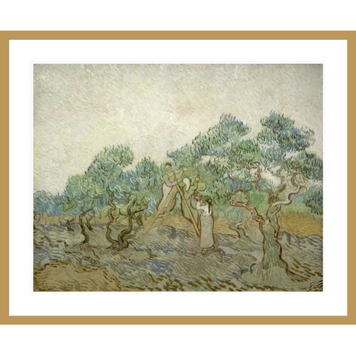 The Olive Orchard by Vincent van Gogh Framed Print