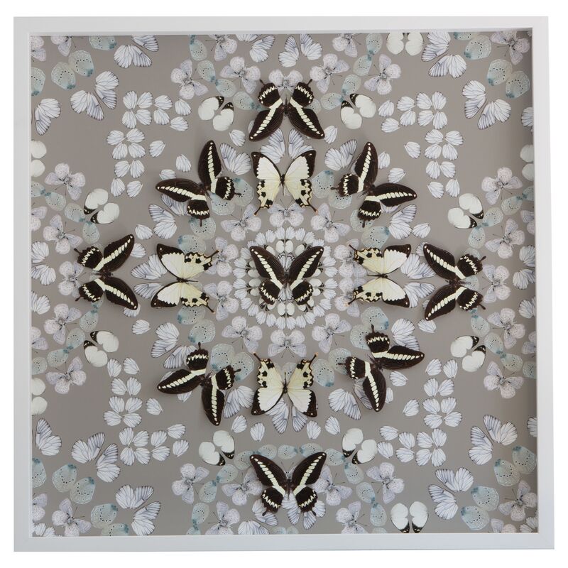 Dawn Wolfe, Butterfly Construction: Putty Gray