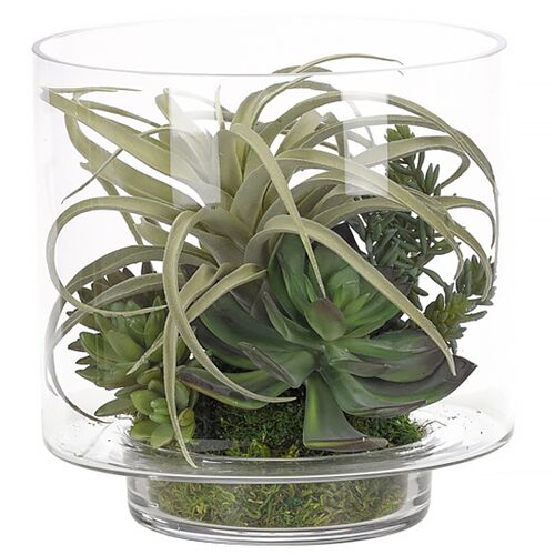 10" Succulents in Glass Cylinder, Faux