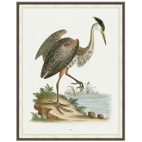 Lillian August, Regal Heron 2
