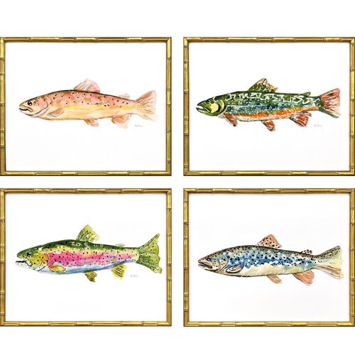 S/4 Freshwater Trout Study Framed Paintings S/4 Freshwater Trout Study Framed Paintings