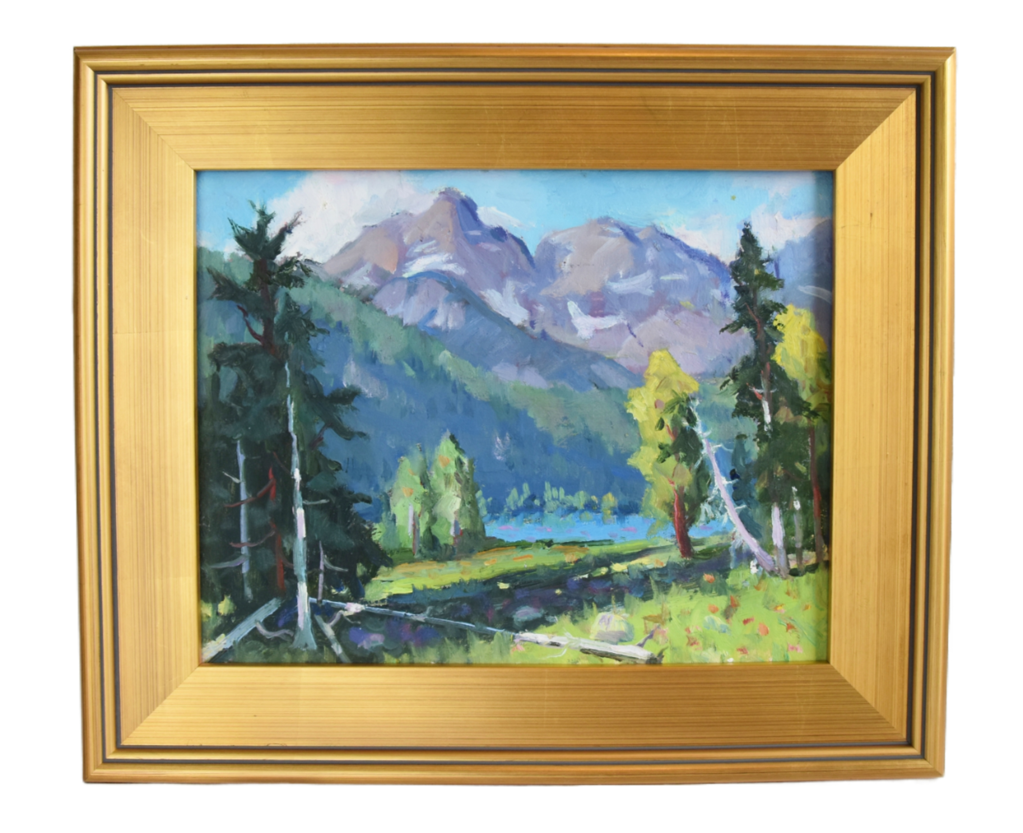 Silvio Silvestri, Mammoth CA Landscape