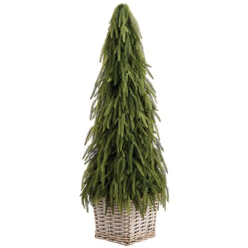 Cypress Cone Topiary in Basket, Green Cypress Cone Topiary in Basket, Green