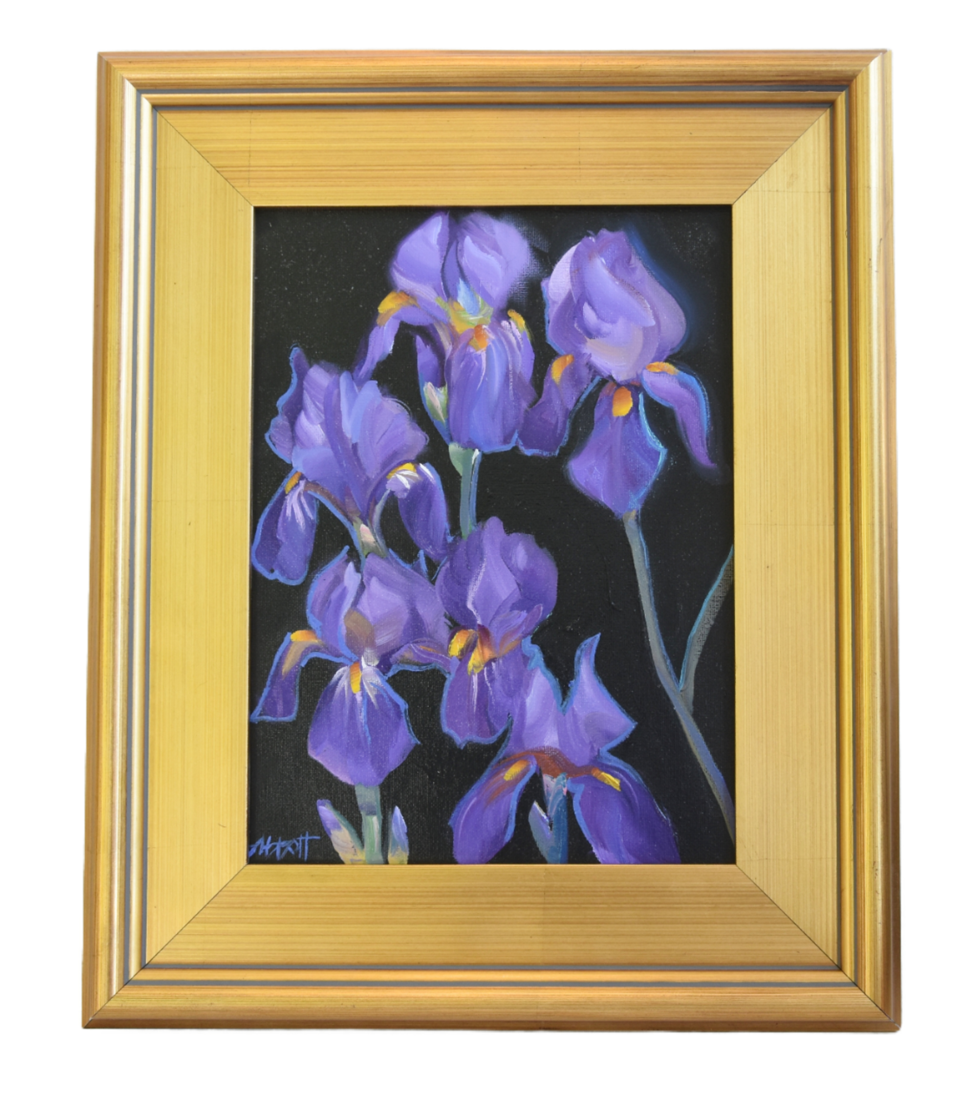 Lavender Purple Floral Botanical Irises~P77669703