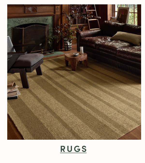 Shop Rugs