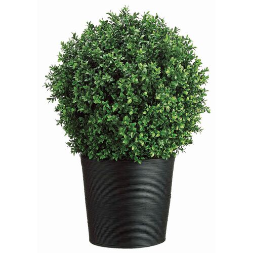 30" Boxwood Topiary in Bamboo Container, Green