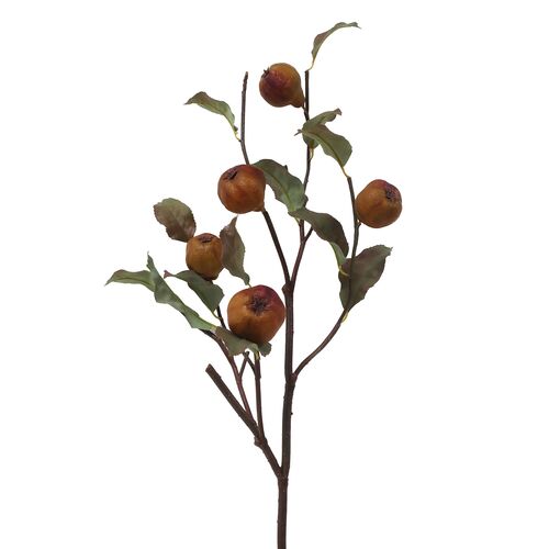 37" Dry Quince Branch, Set of 6