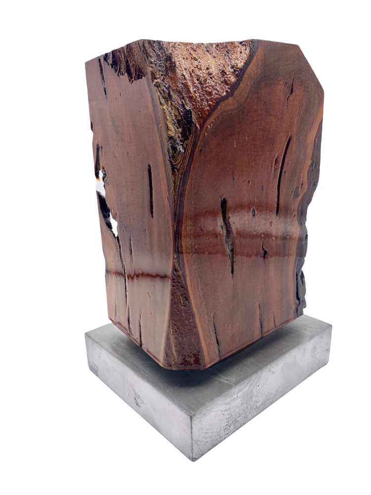 High-Gloss Knotted Wood Sculpture~P77643546