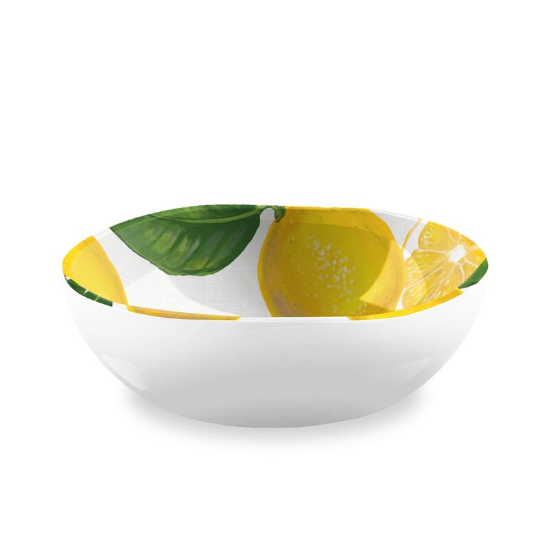 S/6 Lemon-Fresh Melamine Cereal Bowl, Multi