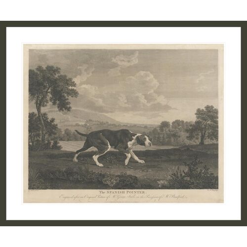 [Shooting] The Spanish Pointer by William Woollett, after George Stubbs Framed Print