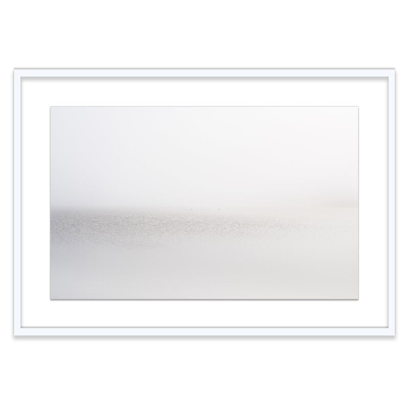 James Ogilvy, Swans in the Mist