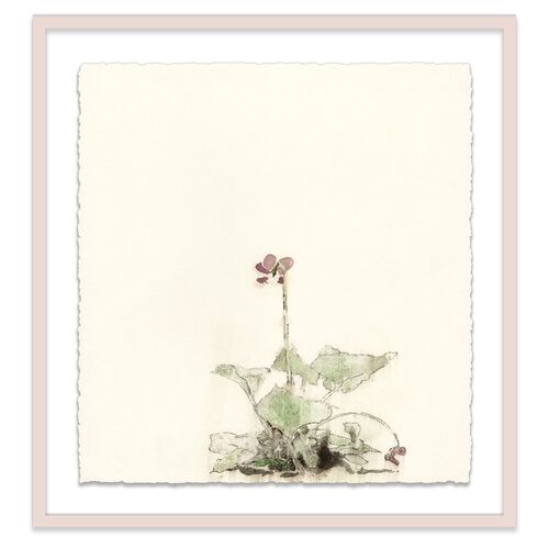 Mary H. Case, Botanical VI Painting~P77492842