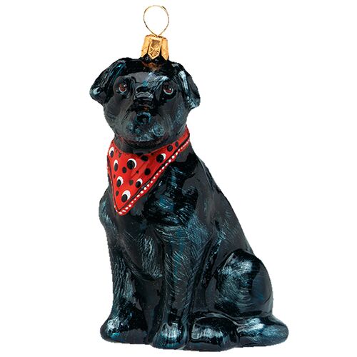 Labrador Retriever Black w/ Bandana