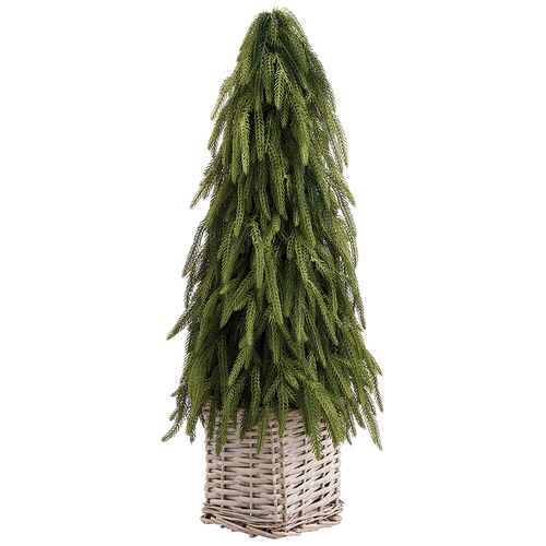 Cypress Cone Topiary in Basket, Green Cypress Cone Topiary in Basket, Green