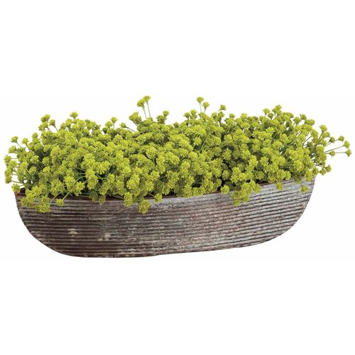 6" Baby Breath Arrangement in Tin Oval Container, Green