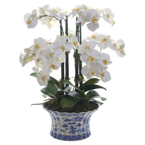 22" Phalaenopsis Orchid w/ Vessel, Faux~P77544051