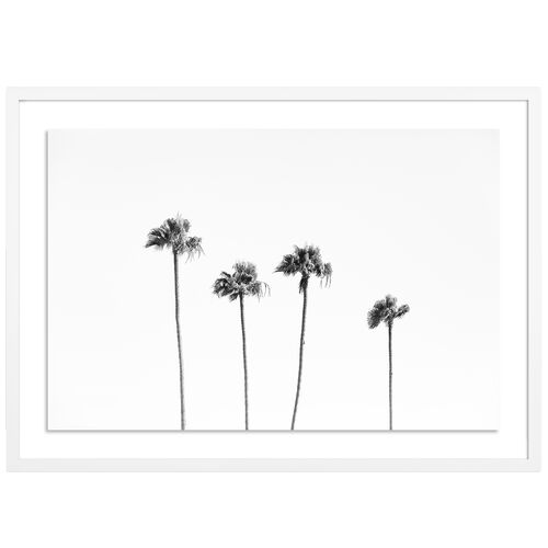 Malibu Palms - Malibu, California Photograph by Carly Tabak Malibu Palms - Malibu, California Photograph by Carly Tabak~P111121775