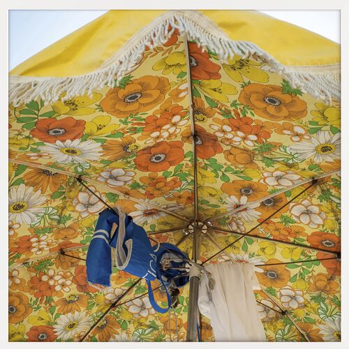 Umbrella Bliss Photo, 24" x 24"