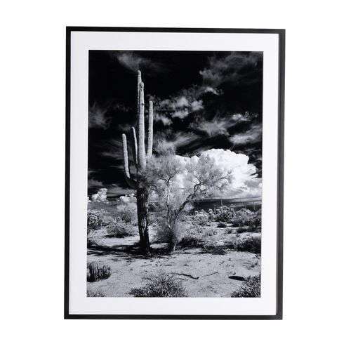 Getty Images, Sonoran Desert
